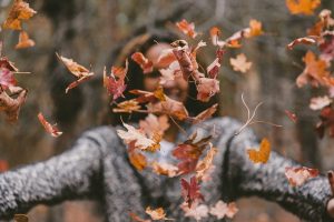 4 buoni motivi per amare l'autunno